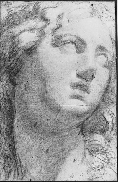Niobe by Annibale Carracci